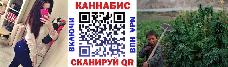 Конопля план  кракен ТОР  Бабаево  хочу  